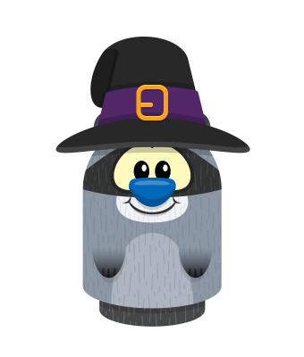 Sprite witch raccoon.png