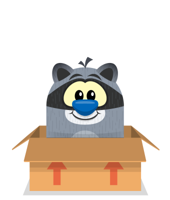 Sprite box brown raccoon.png