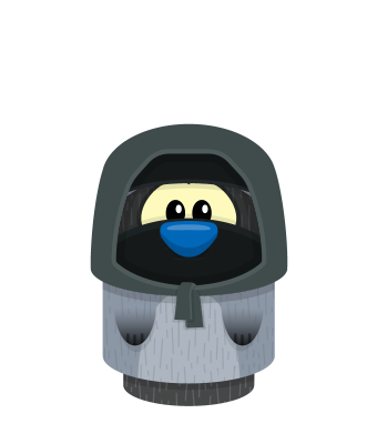 Sprite ninja hood gray raccoon.png