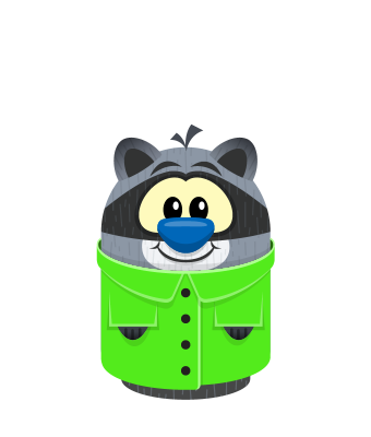 Sprite raincoat green raccoon.png