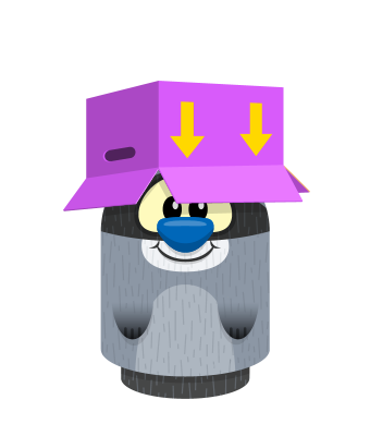 Sprite box hat purple raccoon.png