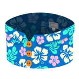 Icon hawaii blue.png